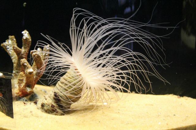 74116_574193215942146_479952846_n