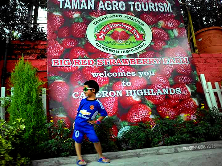 FB_IMG_1447067751733