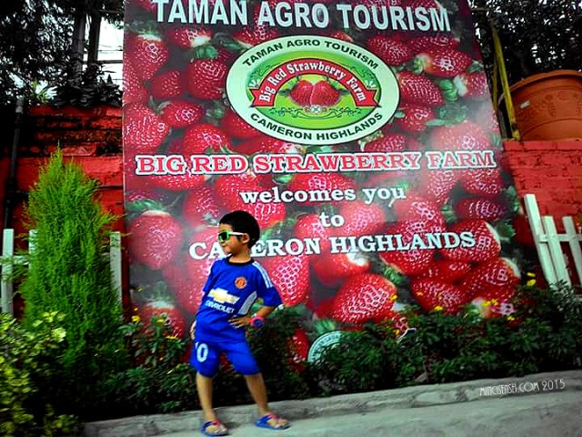 FB_IMG_1447067751733