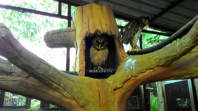 12985343_10208824857809121_7408723318098452850_n