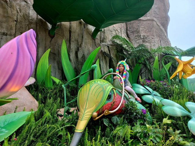 if you look hard enough, you can see mr husband and the son in the bushes, ready for an ambush